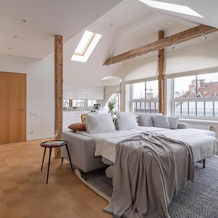 Bright Designer In Centre Appartement Riga